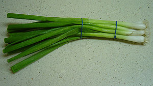 green-onion La Cebolla | Como utilizar la cebolla en Que Cocinar