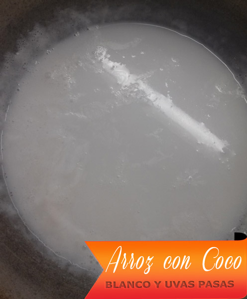 Arroz-Con-Coco-Blanco-2 Arroz Con Coco Blanco Y Uvas Pasas | Arroz con Coco Hervido Y Uvas Pasas