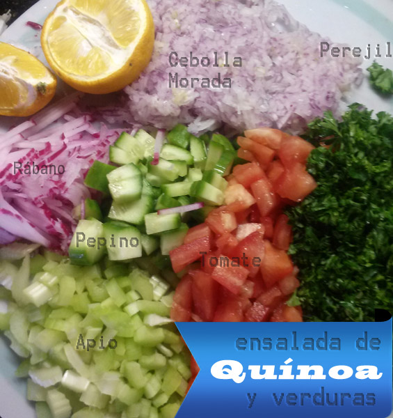 Ensalada-de-Quinoa-y-verduras-ingredientes Ensalada de Quínoa y Verduras | Fácil - Rápida y Saludable Ensalada de Quinua