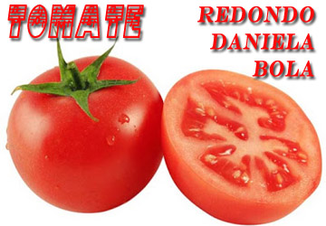 Tomate-redondo ¿Qué TOMATE Utilizar? Diferentes Tipos de Tomates y Sus Usos