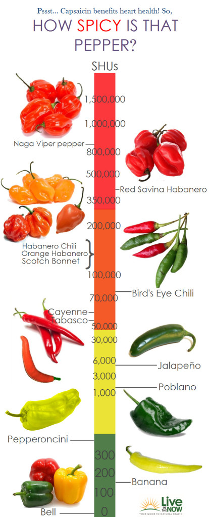 spicy-pepper-infographic-414x1024 Salsa de Aji Picante | Salsa de Ají Para Guardar