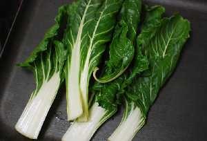Acelgas