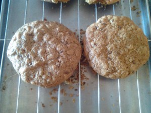 Galletas de Avena con Semilla de Linaza